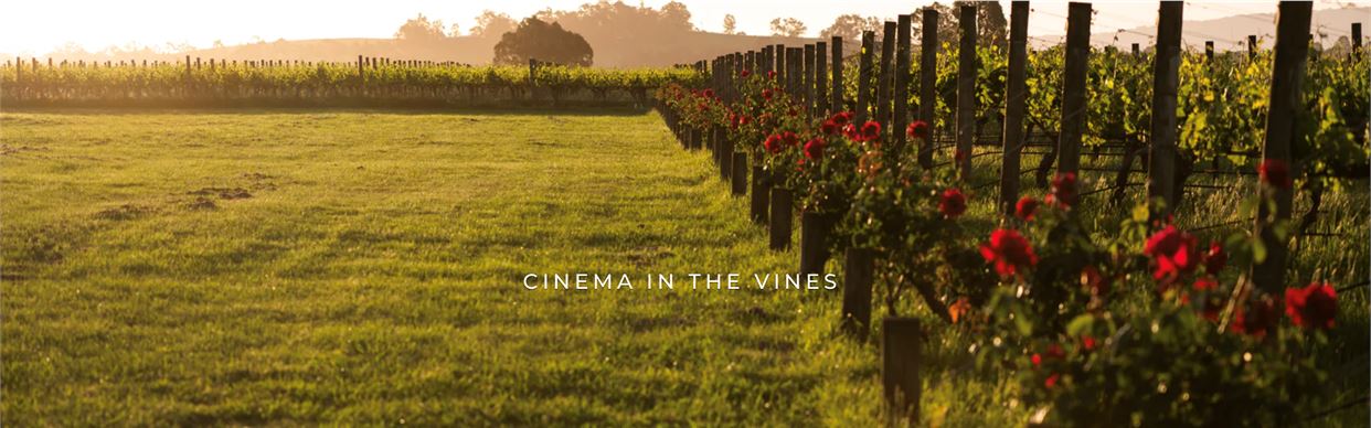 The Vines Gift Voucher - In Cinema